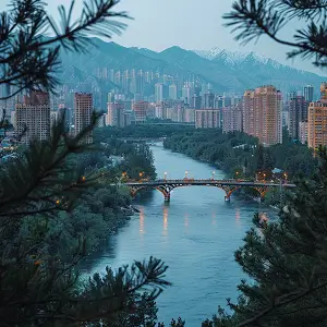 拥有自由含义的女