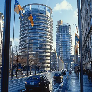 以兄弟含义的大全